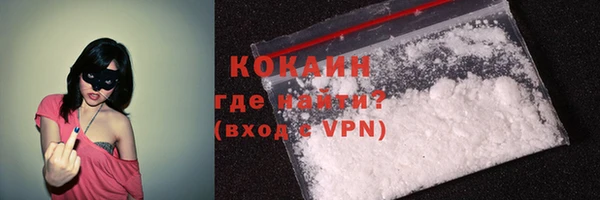 прущие грибы Белоозёрский