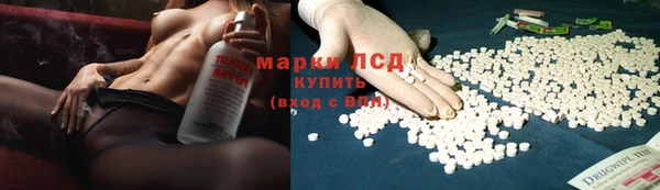 прущие грибы Белоозёрский