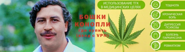 прущие грибы Белоозёрский