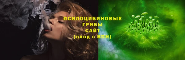 прущие грибы Белоозёрский
