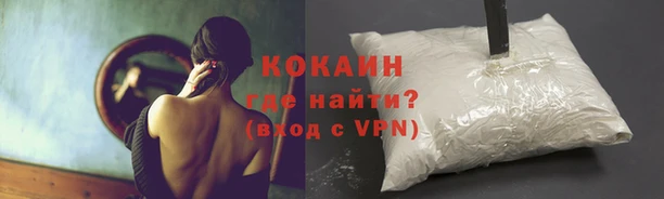 прущие грибы Белоозёрский