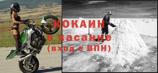 прущие грибы Белоозёрский