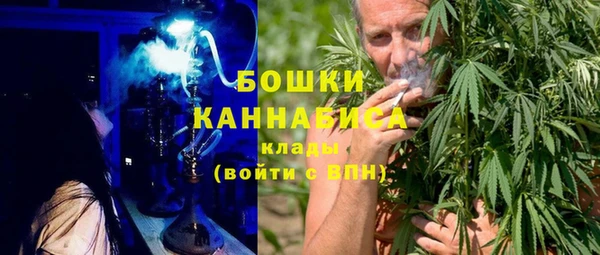 прущие грибы Белоозёрский