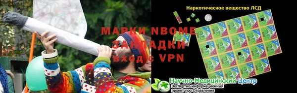 прущие грибы Белоозёрский